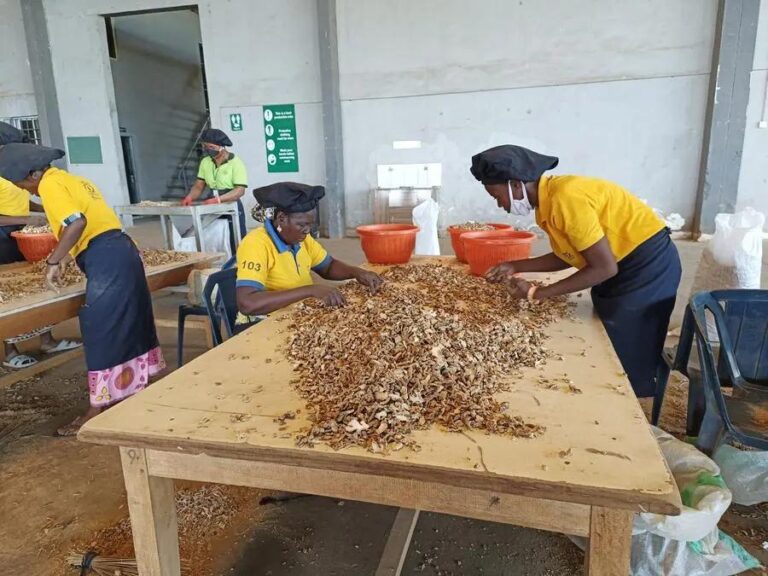 Cd5e88f1 5903 4063 a558 f551631696de file.jpg