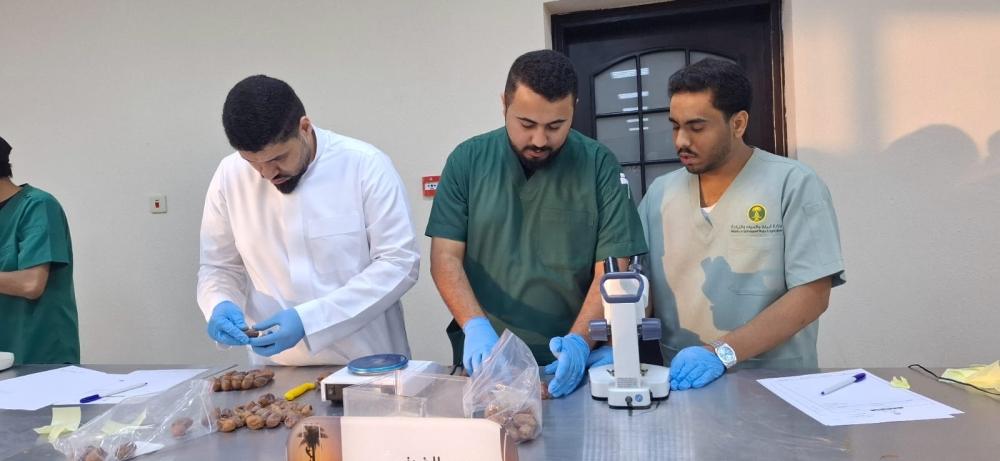 Ce1a3dda 0749 4d52 a450 98e8810a5e86 file.jpg