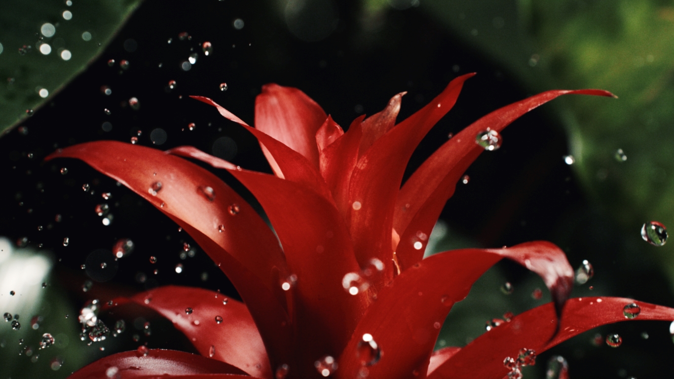 Guerlain %d8%aa%d9%83%d8%b4%d9%81 %d8%b9%d9%86 %d8%a7%d9%84%d9%80 %d8%a3%d9%88 %d8%af%d9%88 %d8%a8%d8%a7%d8%b1%d9%81%d8%a7%d9%86 %d8%a7%d9%84%d8%ac%d8%af%d9%8a%d8%af %d9%85%d9%86 %d9%85%d8%ac%d9%85