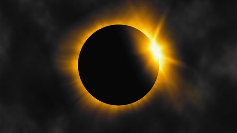 D1cc7981 0372 4e61 994d ec69083a1315 file.jpg