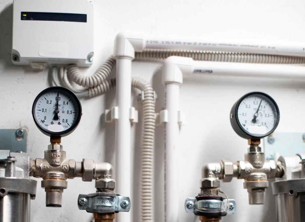 D369bf63 f580 4225 9b0a 313c4f10f40a file.jpg