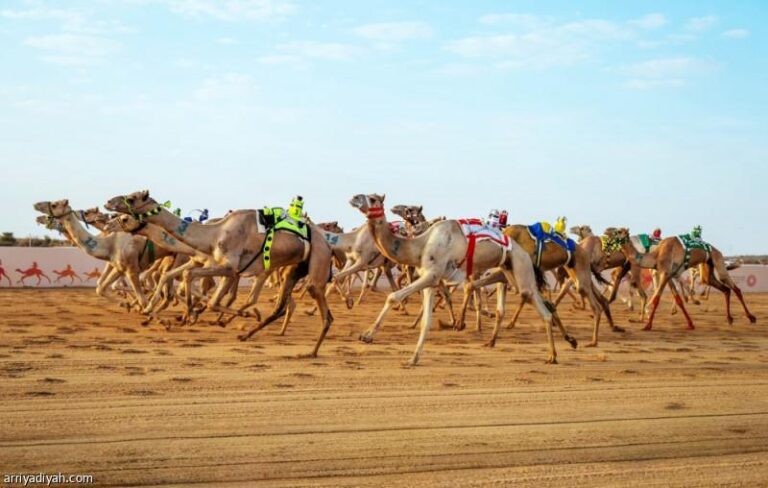 D4eddc1c 25ef 469e b979 4c7c4b6616ae file.jpg