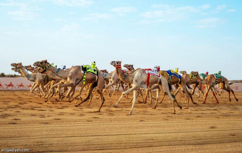 D4eddc1c 25ef 469e b979 4c7c4b6616ae file.jpg