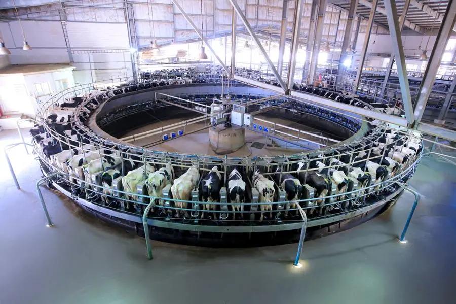 D5a976bc 2c7c 4ae9 b500 ccc0ac9d6ccc file.jpg