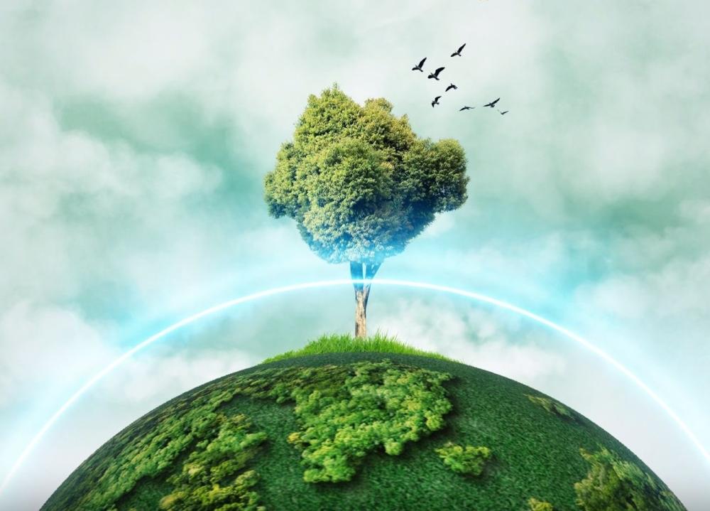 D5be9c48 9780 4b3f abc6 ed8072259d7c file.jpg