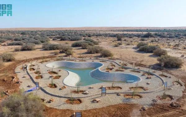 D5f56fd8 4ce6 450c bdbc c66462ba515e file.jpg