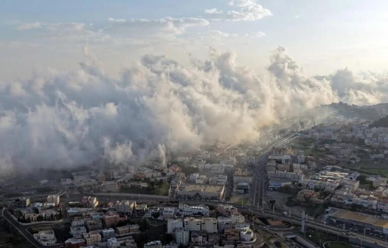 D6194e42 5511 4c1a 936b 5de7781f2813 file.jpg