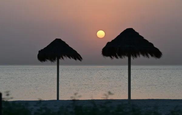 D8f34661 e0fa 4265 9505 a93448682720 file.jpg