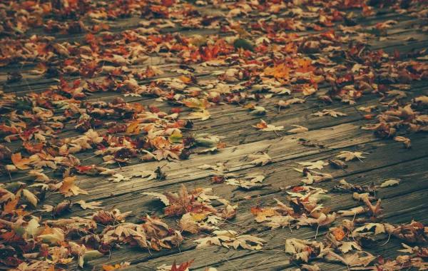 D8f8b8d3 2c6a 47dc 8cd6 84f0d774ccc8 file.jpg