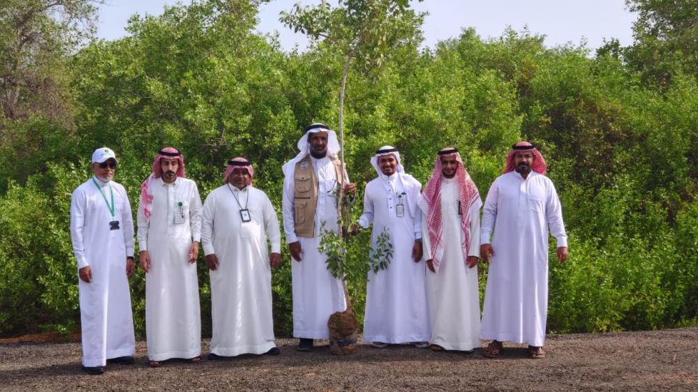 D93bb6c5 a01b 4dcb 8b99 70516dc6b6a2 file.jpg