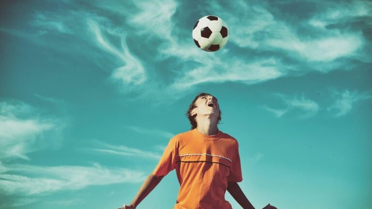 Dd41419d 9be0 479a 8aa2 ee3b41b78ed1 file.jpg