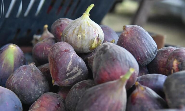 Dff99e32 46a8 416f af42 813eb4fdccfb file.jpg