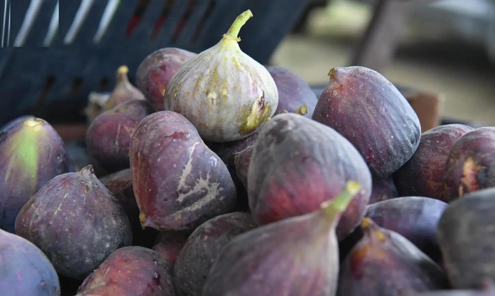 Dff99e32 46a8 416f af42 813eb4fdccfb file.jpg