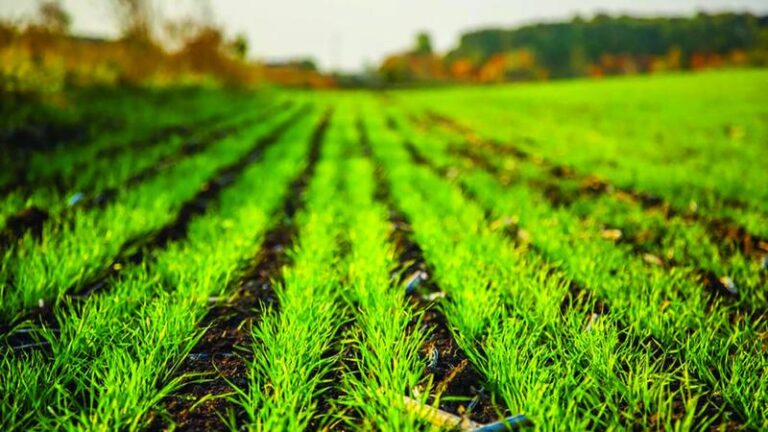 E08b81cb a4b8 4eab 891c 4de3f41ab98b file.jpg