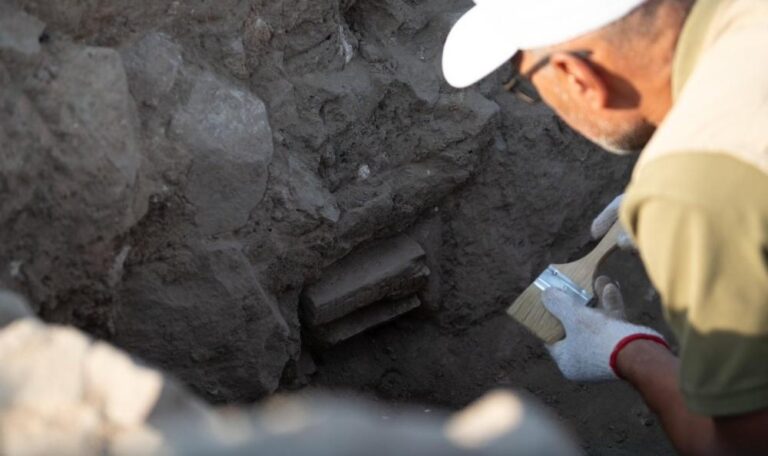 E138166b eb79 4421 b902 604f952ea88c file.jpg