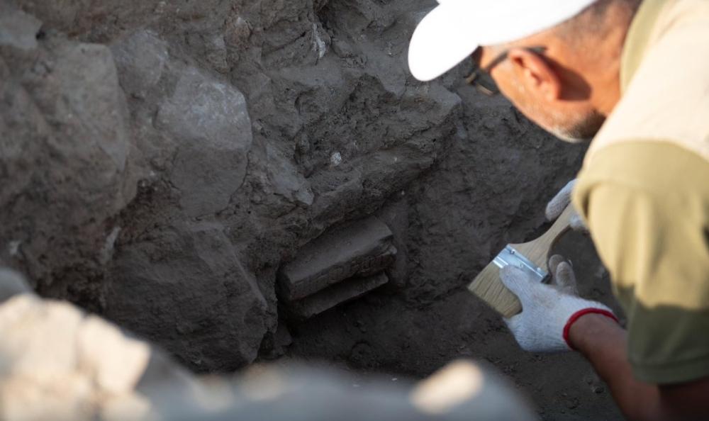 E138166b eb79 4421 b902 604f952ea88c file.jpg