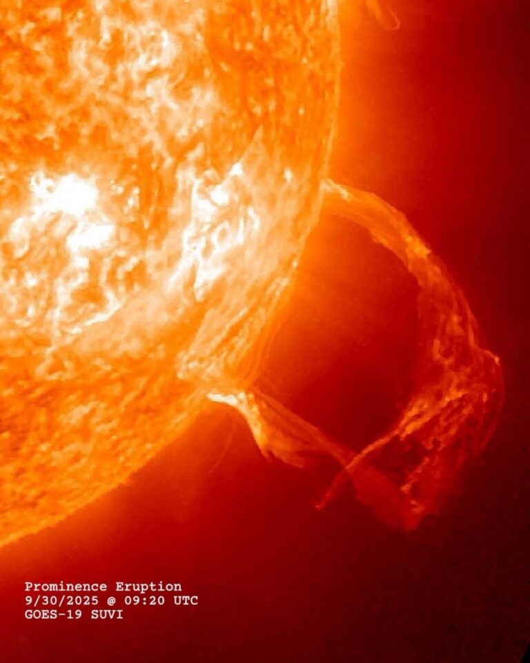 E52d1374 ac3b 4de2 bda0 1ba0c903158b file.jpg