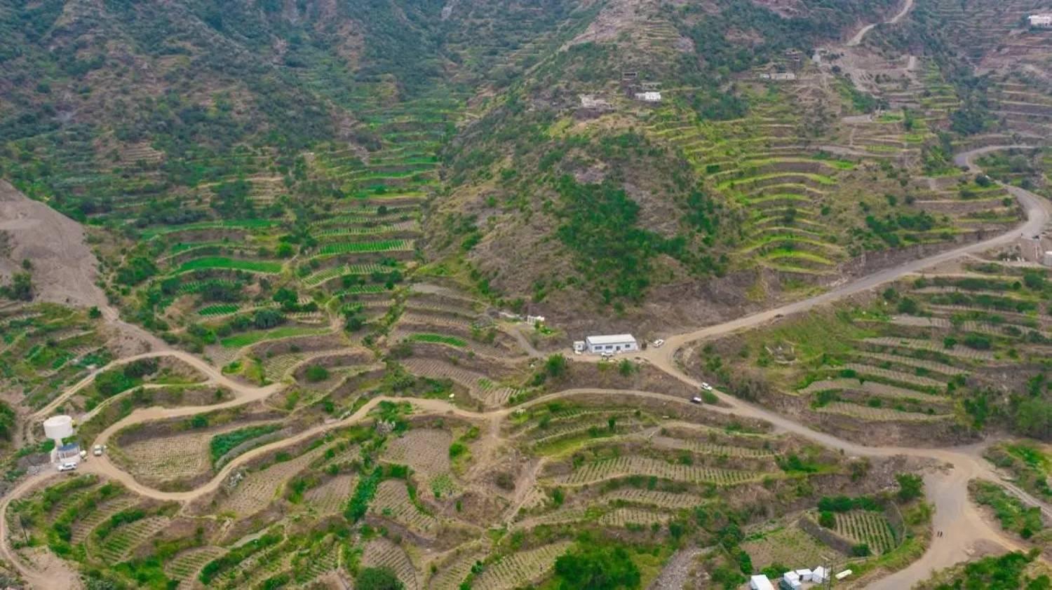 E622cf8f 1de5 493a 9a8e 52bfae976648 file.jpg