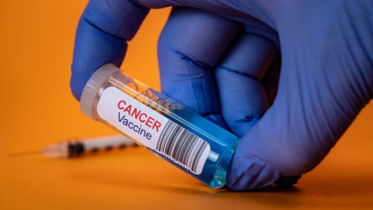 E6e0daa6 444b 470c ac17 e650bc3a6b62 file.jpg