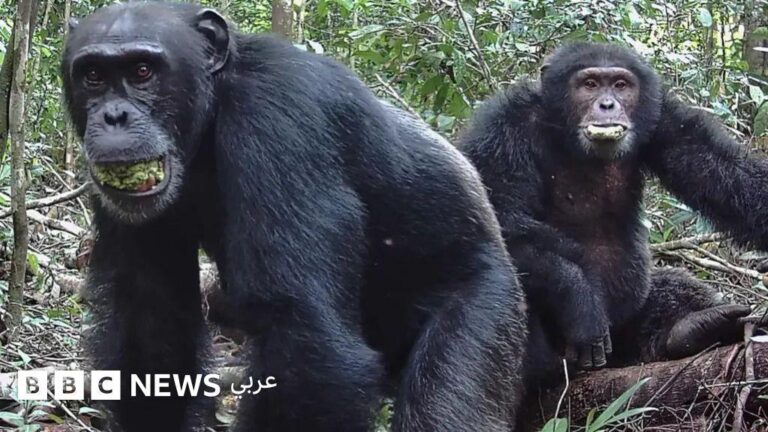 E7c848f0 3718 439f a567 48f10f479c3b file.jpg