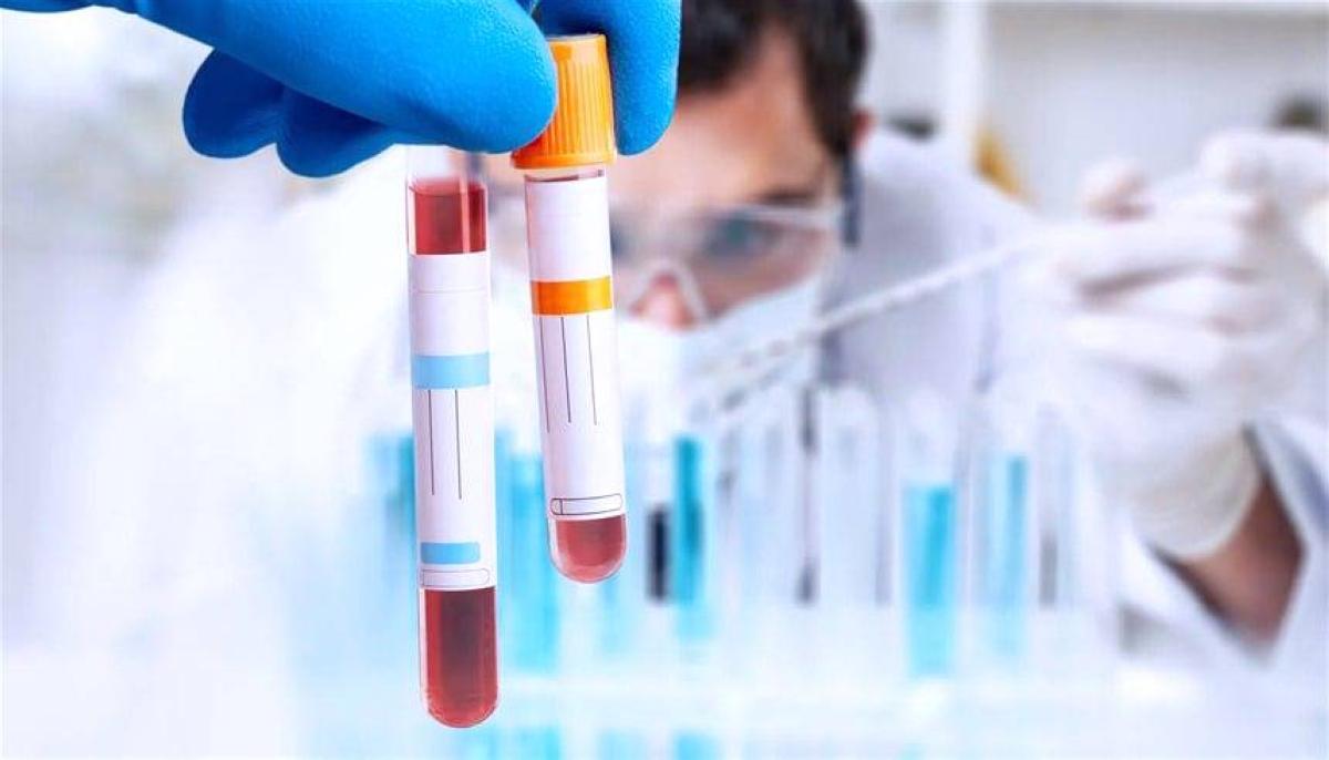 Ec29c47c 4e22 451f 91b8 2d1d3c37fa06 file.jpg