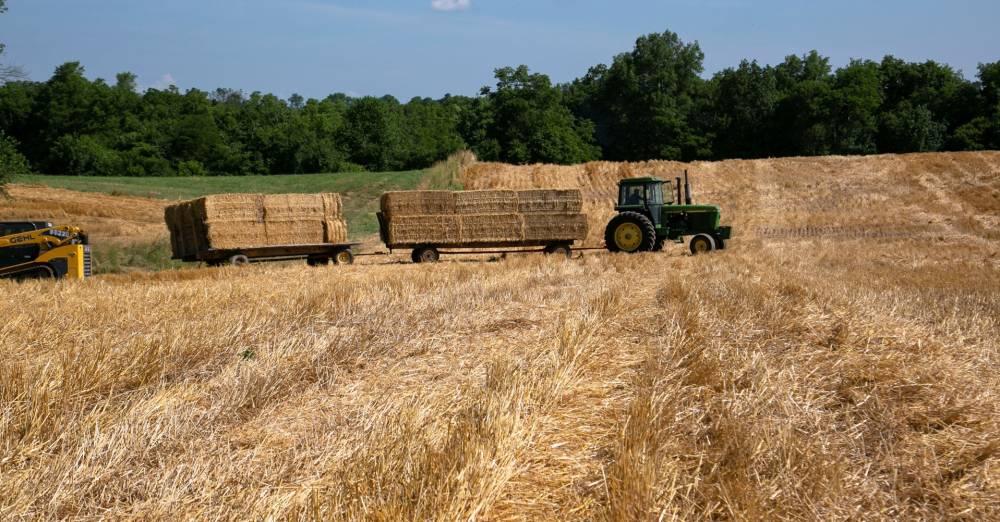 Eca9970d cca9 4da5 bae7 bd6d5bee3f6a file.jpg