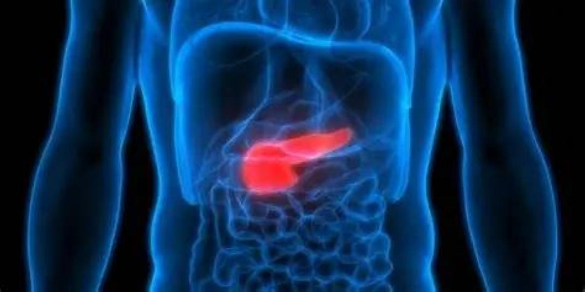 F014ee7e 7a87 4ee9 91a9 deaf6c51a43a file.jpg