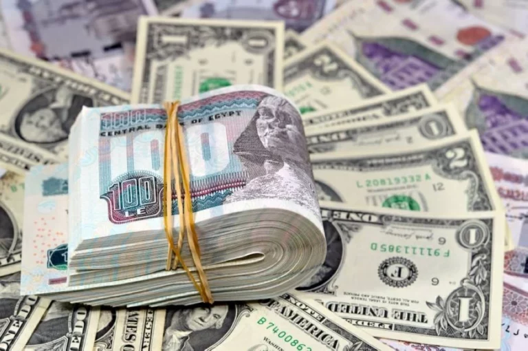 F1ad8629 143a 4d9f b196 eeb21e408b51 file.webp