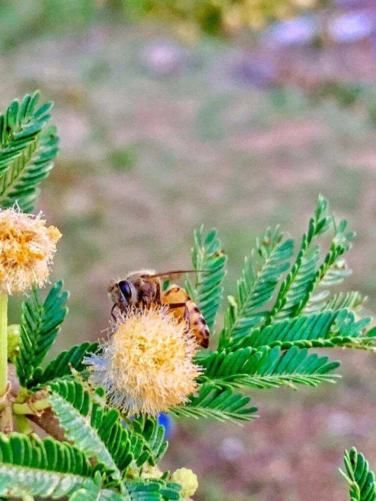 F1eafd01 0ebd 4c22 af72 ee0bc35ebcb9 file.jpg