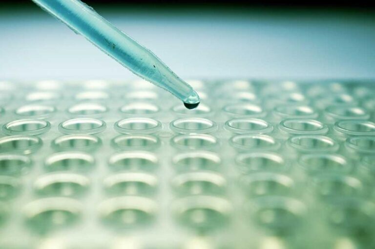 F3857d86 7b52 4efd 85da 436ba13b833c file.jpg