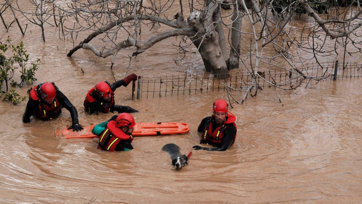 F3cf161c 8307 4d1f b766 63f6b67ddf67 file.jpg