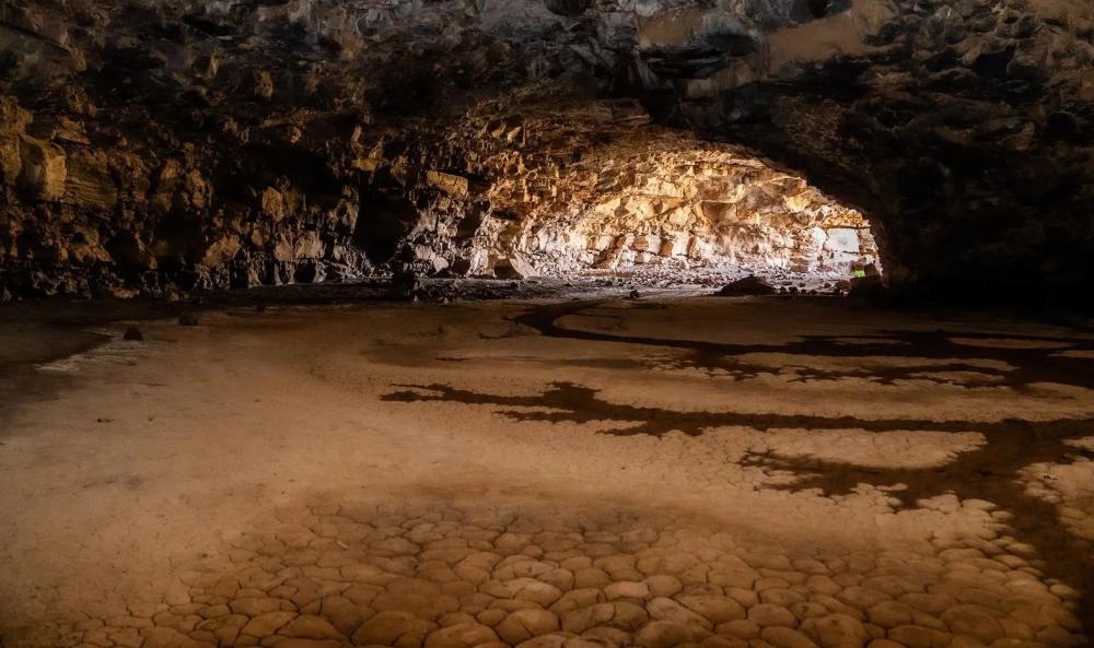 F4e3ec44 f50f 4d75 8a48 e351a19c8fad file.jpg