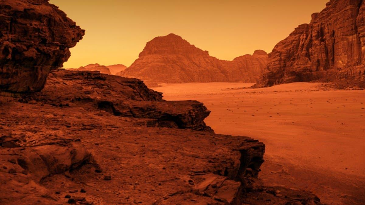 F76b6040 41c0 42c0 b269 153b82f35afd file.jpg