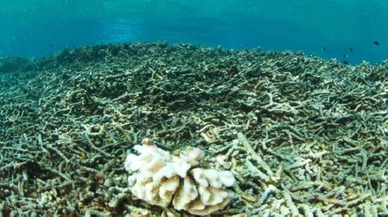 0021e9d9 b9fd 4ec8 a77a 6d8634ee2511 file.jpg