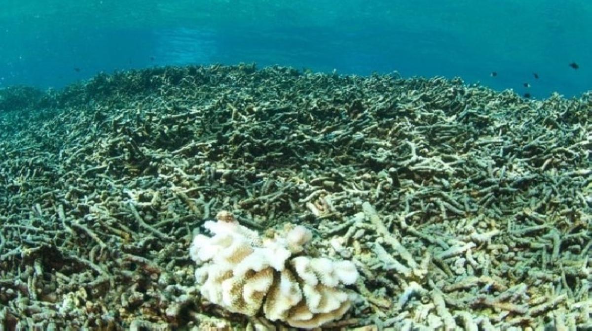 0021e9d9 b9fd 4ec8 a77a 6d8634ee2511 file.jpg