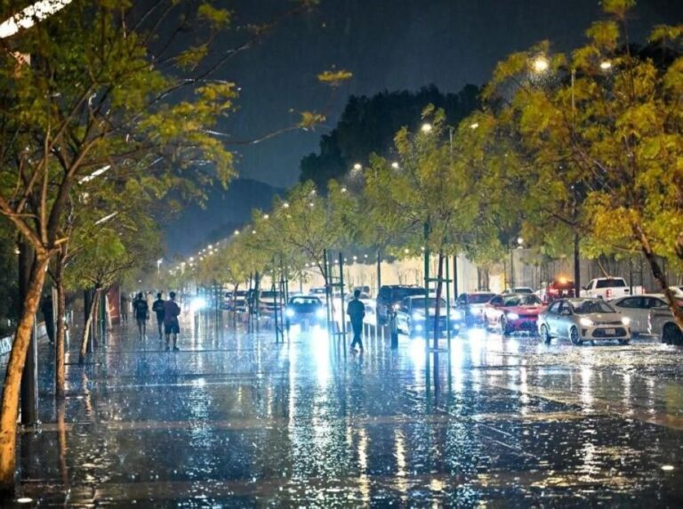 015b6714 dc52 4618 8524 5007a41a57c1 file.jpg