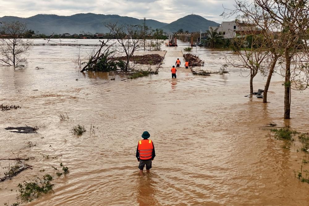 01896363 6d15 4c13 8529 ece23a7d9a77 file.jpg