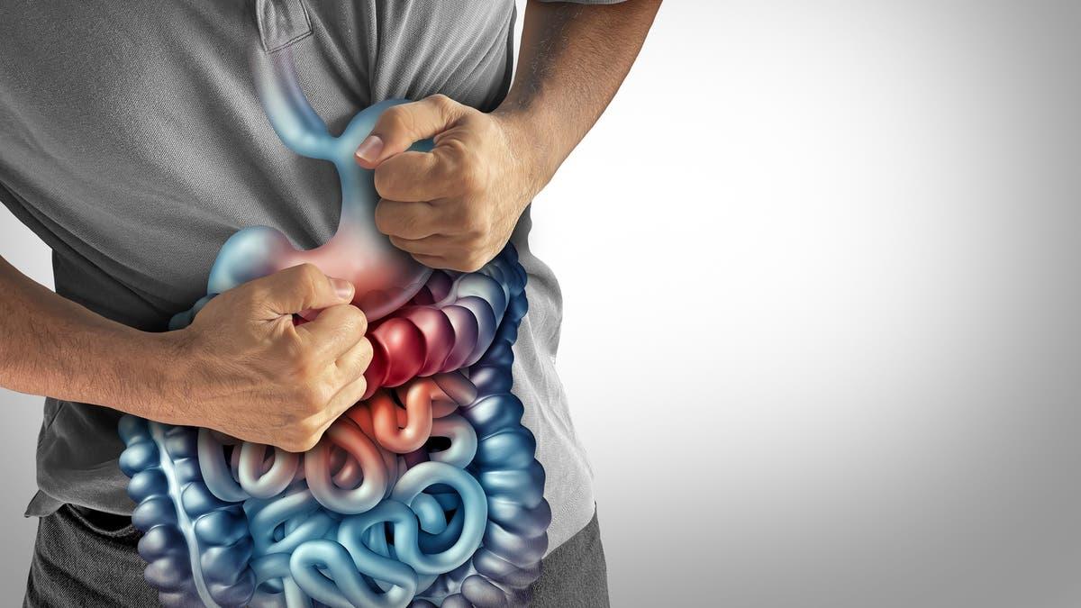 0567981d 248c 4879 ab26 c1b70c05d823 file.jpg