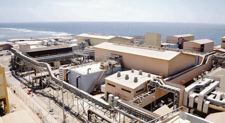 071f1cc8 4859 4477 a4a5 d54f027bc36e file.jpg