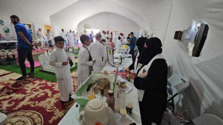 09c31152 7eaf 442b b52b 926a50013dd8 file.jpg