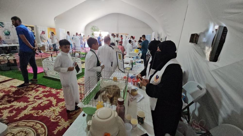 09c31152 7eaf 442b b52b 926a50013dd8 file.jpg