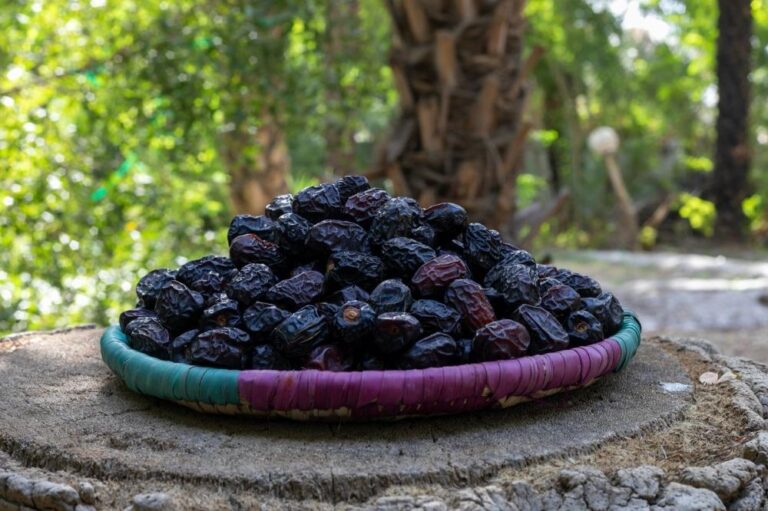 09e2a50c f6dd 4e6c 8f04 1e6c8984e7f8 file.jpg