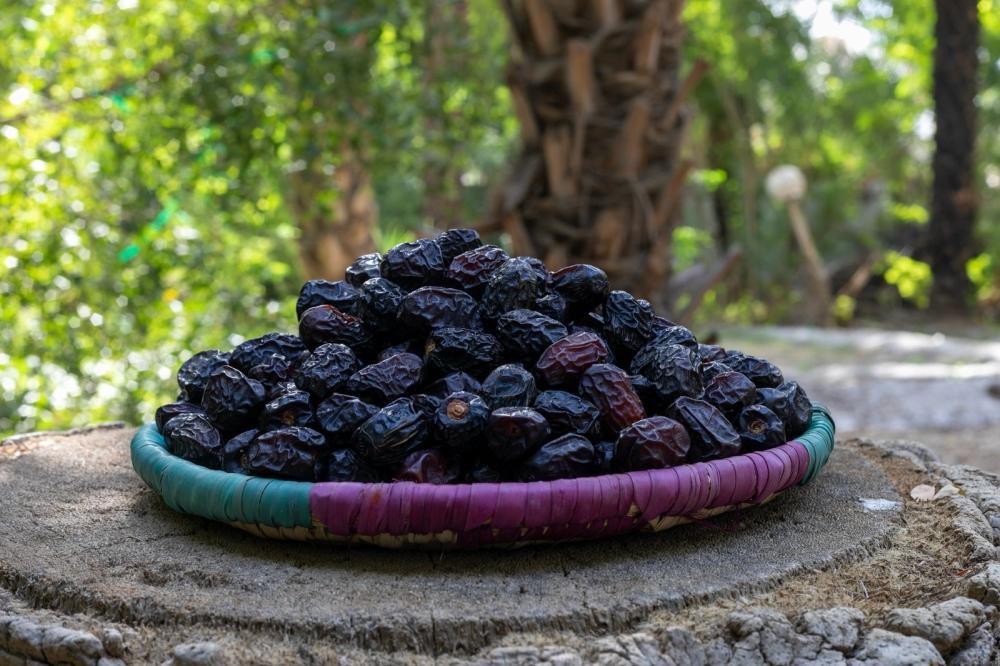 09e2a50c f6dd 4e6c 8f04 1e6c8984e7f8 file.jpg