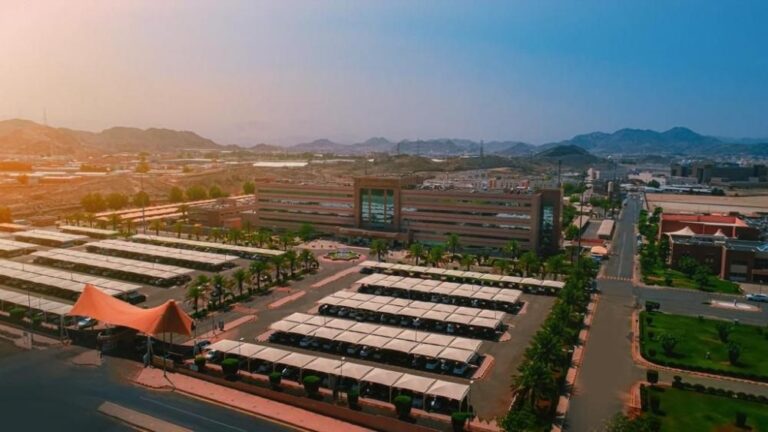 09ecb62d 037a 42b8 a2cf 9a57642deae6 file.jpg