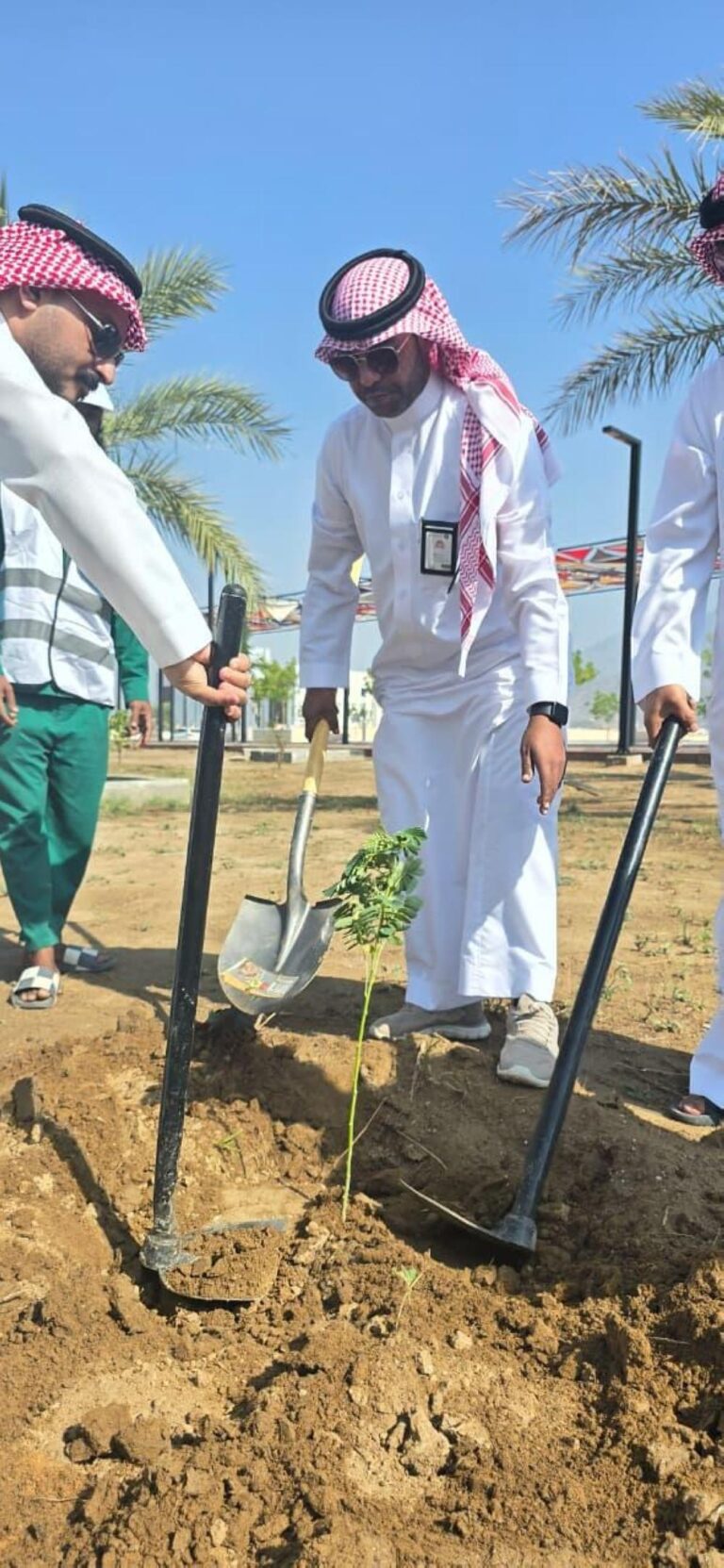 0daf7294 5ea8 419a 8c31 da1ab332f938 file.jpg