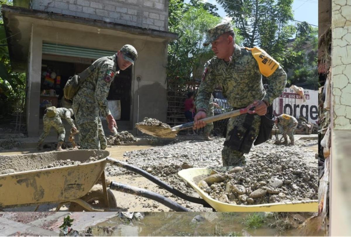 0f19fac7 4490 4466 a0b7 e86a079fb499 file.jpg