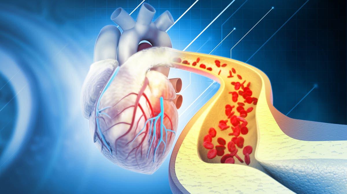 10627b89 de18 49d5 b6ea 5dbd5082f211 file.jpg