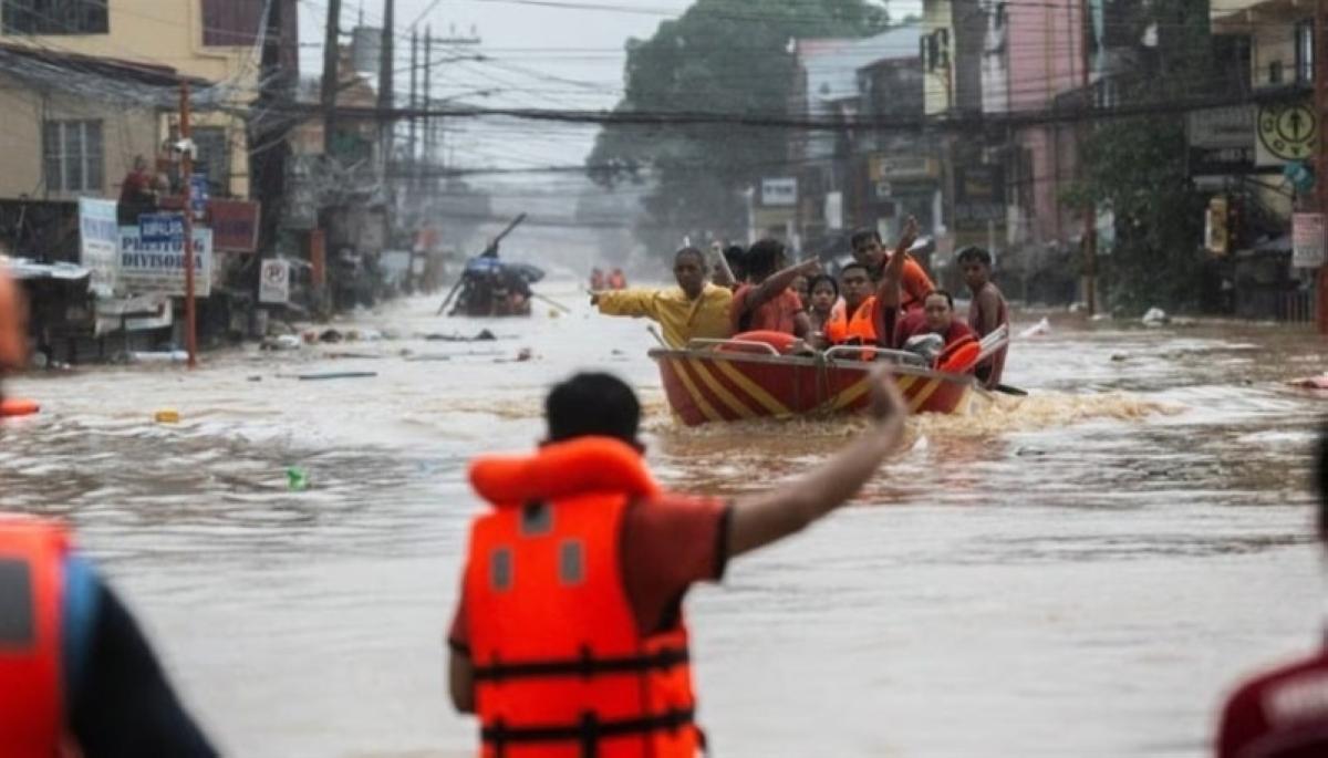 10fbdb32 e087 4929 8772 68fb6d0abe77 file.jpg