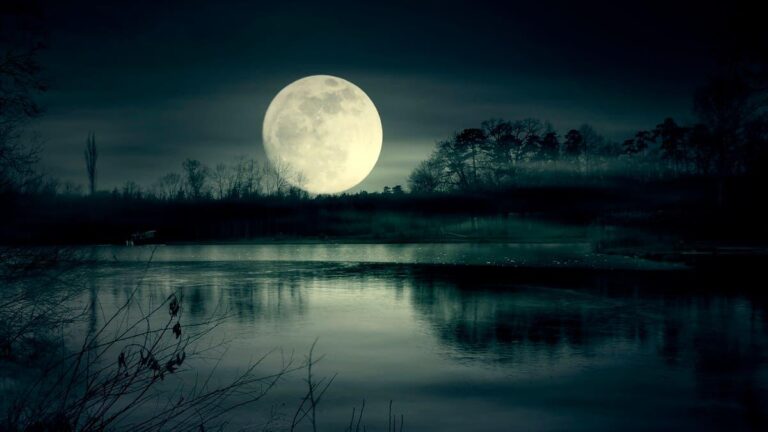 11764f07 606e 461f 8ae8 ed919046bfb9 file.jpg