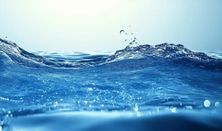 183016d5 91c0 4eac a6cd 6c1b4df26b4c file.jpg